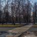 Пешеходный переход в городе Москва