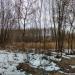 Бывшее болото в городе Тверь