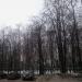 Парковая зона стадиона «РЖД Арена» в городе Москва