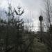 Заброшенный путь к котельной в городе Всеволожск