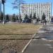 Газон в городе Москва