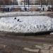 Клумба в городе Москва