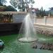 Tortoise Pond in Yangon city