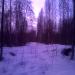 Насыпь бывшей железной дороги в городе Новое Девяткино