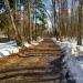 Засыпанный строительным грунтом лес вдоль реки Зимёнки в городе Москва