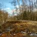Засыпанный строительным грунтом лес вдоль реки Зимёнки в городе Москва