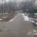 Аллея в городе Москва