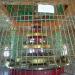 Maha Bodi Temple in Yangon city