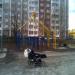 Железная конструкция. в городе Новое Девяткино