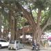 Plaza in Galle city