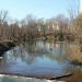 Заводь в городе Москва