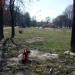 Пожарный гидрант (ru) in Brovary city