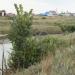 Водоёмы образованные прорванной канализацией в городе Воронеж