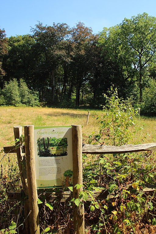 Kluisbergen Kwaremont
