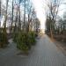 Центральная аллея в городе Остров