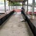 Pedestrian bridge in Galle city