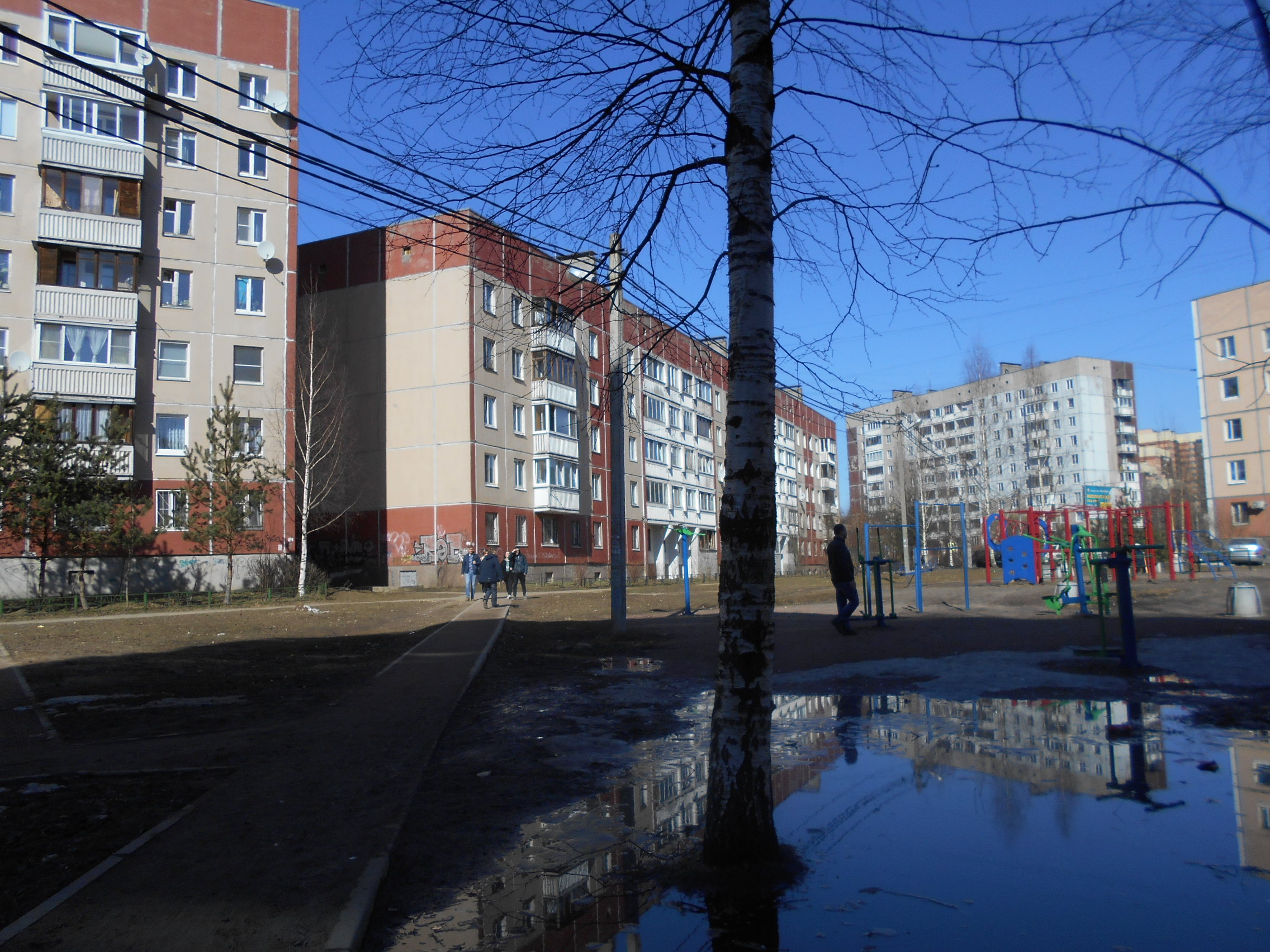 всеволожск ленинградская область фото города