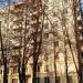Большая Черкизовская ул., 24 корпус 3 в городе Москва