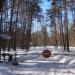 Грибок (uk) в городе Киев