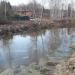 Заболоченный пруд в городе Ашукино