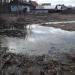 Болото в городе Ашукино