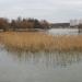 Заросший участок пруда в городе Москва