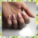 Ногтевая студия Sweety Nail в городе Казань