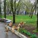 Парк им. М. Л. Кропивницкого (ru) in Bobrynets city