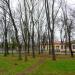 Бобринецкая центральная районная больница (ru) in Bobrynets city
