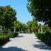 Parcul de la Posta în Medgidia oraş