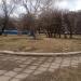 Клумба в городе Москва