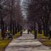 Сквер в городе Москва