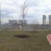 Площадка для выгула собак в городе Москва