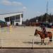 Манеж в городе Москва