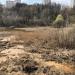 Болото в городе Москва