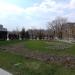 Газон в городе Москва