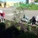 Группа 