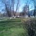 Газон в городе Красногорск