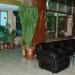 Ajloun Castle Hotel in Ajloun city city