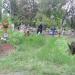 Старое довоенное кладбище в городе Запорожье