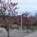 Jardí del Túria - Tram XII (es) in Valencia city