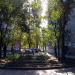 Клумба в городе Воронеж