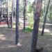 Сгоревшая деревянная беседка в городе Воронеж