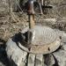 Водоразборная колонка в городе Калязин