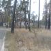 Руины. Заброшенный домик. в городе Воронеж