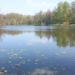 Nizhny Kuzminsky Pond