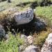 Nuraghe Trescoronas