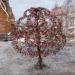 «Свадебное дерево» («Дерево вечной любви») в городе Москва