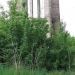 Недостроенная водонапорная башня в городе Ростов-на-Дону