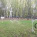 Кинологическая площадка в городе Москва
